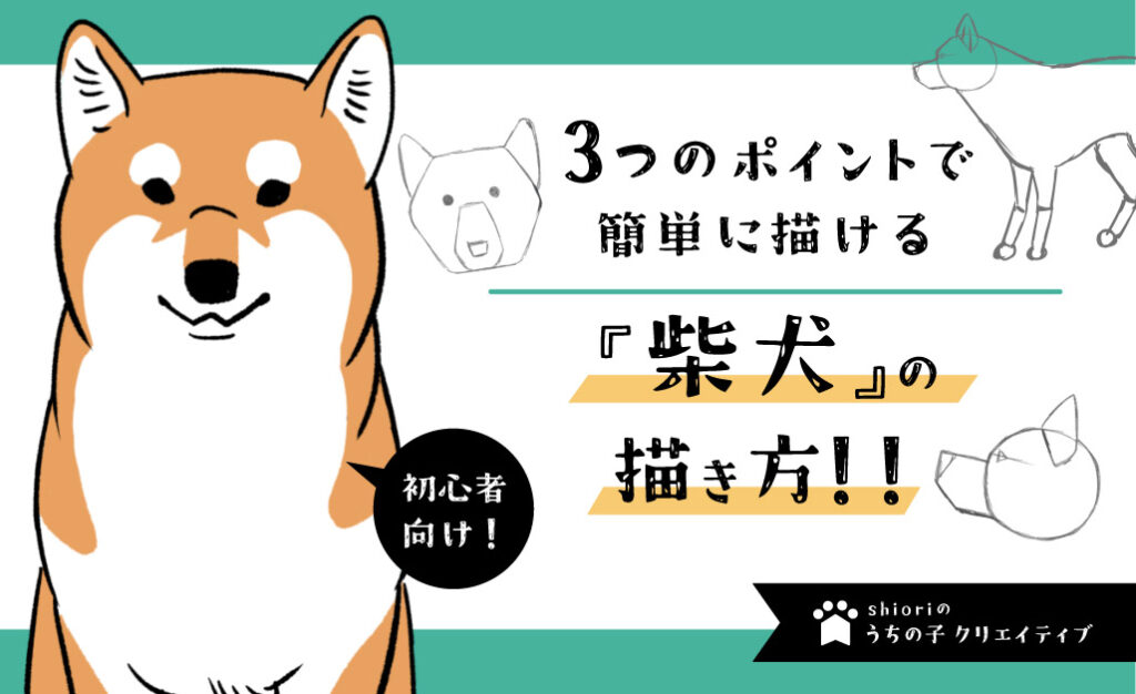 3つのポイントで簡単に描ける！柴犬のイラスト講座講座