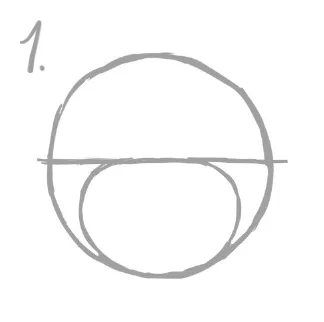 トイプードルの顔は丸をベースに描く