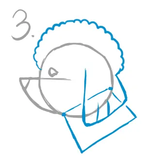 トイプードルの横顔は首は台形を意識する