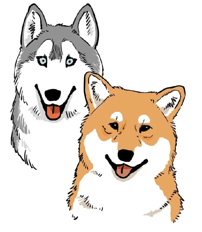 イヌの目の描き方
柴犬、ハスキー