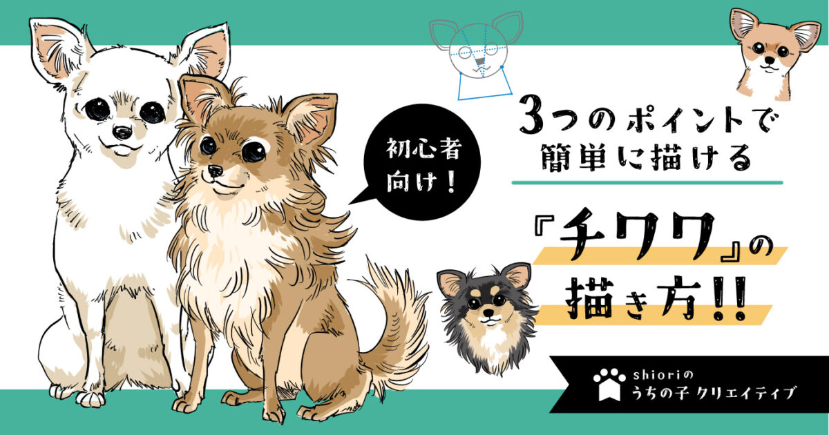 3つのポイントで簡単に描ける！チワワのイラスト講座！