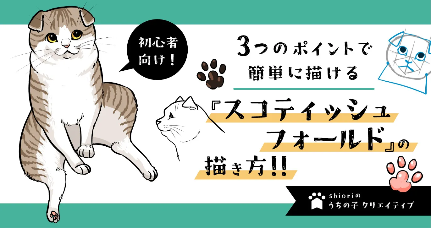 3つのポイントで簡単に描ける！スコティッシュフォールドのイラスト講座！