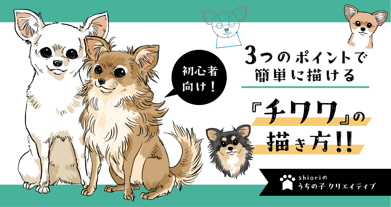 3つのポイントで簡単に描ける！チワワのイラスト講座！