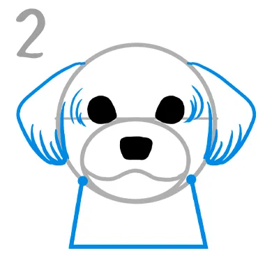 mix犬（マルプー）描き方
２．耳は三角ベースのたれ耳

耳はたれ耳で全体のフォルムがボブヘアに見えるように三角ベースで描きこみます。
丸ベースの下に台形を描き首のアタリにいたします。