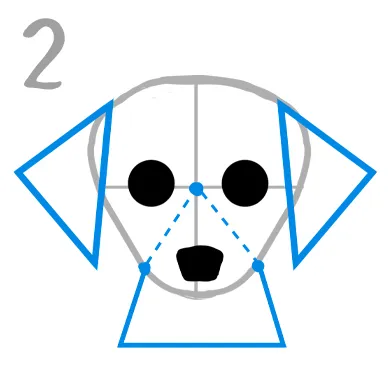 mix犬（チワックス）描き方
２．耳は大きな三角形をベースに

目は丸形で大きめ、鼻は三角形アタリの底辺に描きこみます。基準に逆三角形をベースに目と耳は（右画像を参照）配置いたします。