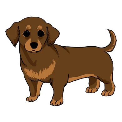 mix犬（チワックス）描き方
チワワ譲りのくりくりした目、短いマズルとダックスの胴長短足がチャームポイント。主にタレ耳が多く体もダックスフンドをべースに描いていきます。