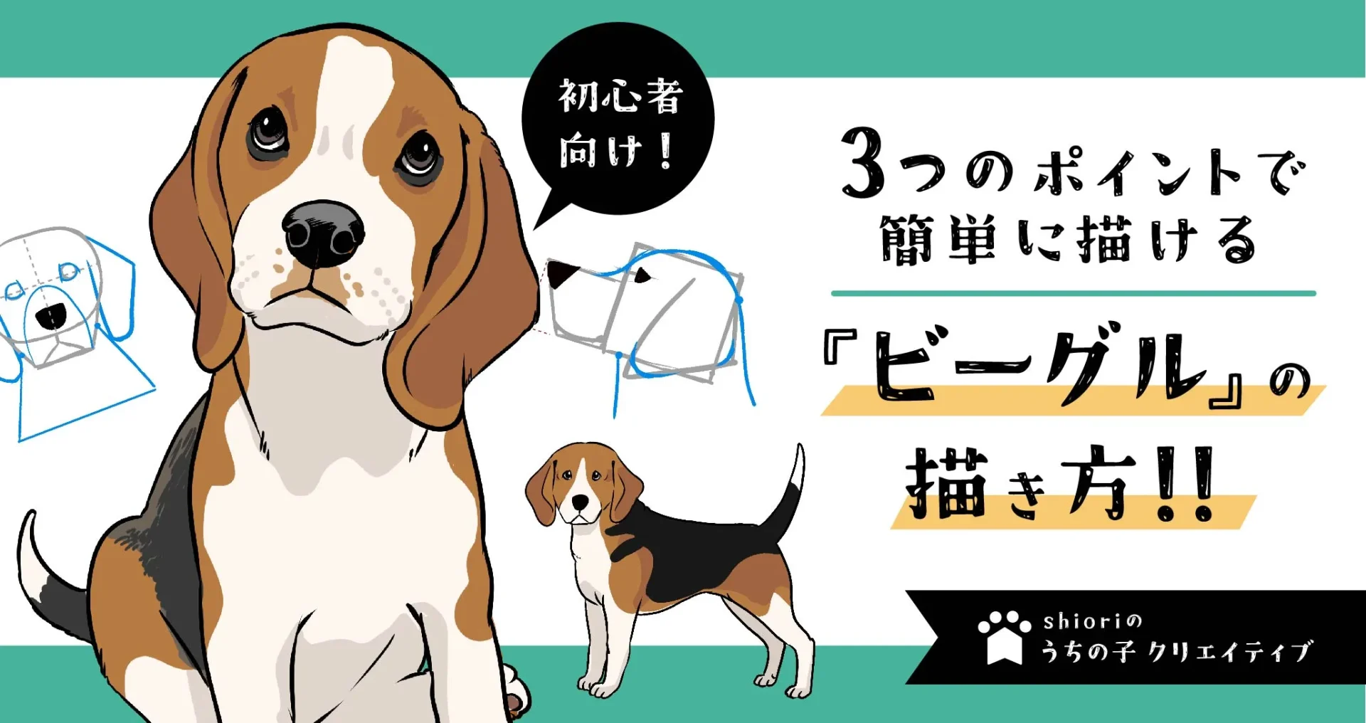 ビーグル 3つのポイントで簡単に描ける！ビーグルのイラスト講座 | うちの子 クリエイティブ
