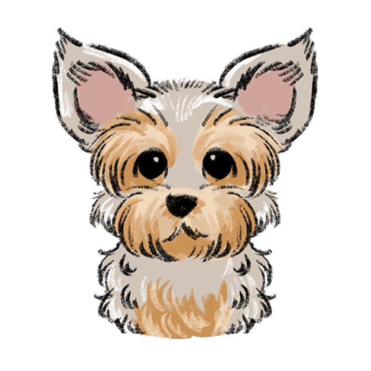 ヨークシャーテリア】手描きイラスト 原画 《1298》（ヨークシャー  