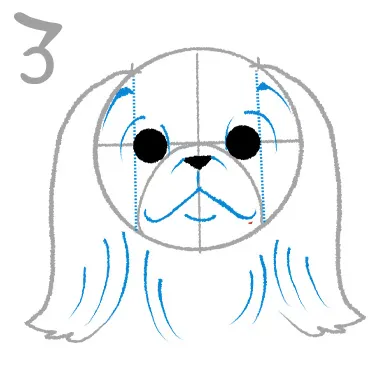 ペキニーズのイラスト講座
３．顔の毛並みは適度にデフォルメする

顔の毛並みは描きこみすぎると他のパーツの印象を薄くしてしまうので、上記画像の青線の適度にデフォルメして描いていきましょう。

主に耳、目の上、首など。

※右画像３．の青線部分を参考