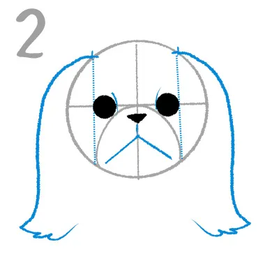 ペキニーズのイラスト講座
２．目・鼻の間隔は詰めて口は大きく！

次に目と鼻の間隔はかなり詰めて描きこみ目の間隔を広げるとより"らしく"見えます。

耳は長い髪の毛みたいに、口は逆「Y」で二つに分かれている個所は幅を広げる。