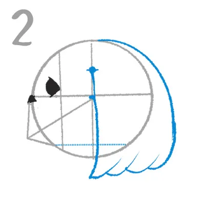 ペキニーズのイラスト講座
２．目と鼻の距離は狭く

目と鼻は三角形（黒い部分）
配置は図の様に、目はマズル上側線の中央より外に書いていきます。鼻は四角形上部に描きこみます。
同時におかっぱヘアを参考にの耳も描き込みます。目は丸型で白目部分がございますとイキイキとした表情となります。