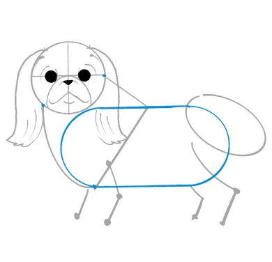 ペキニーズのイラスト講座
1．胴体は俵型がベース

足が短く胴が長いためまず、俵型を描いてから図の様に太い首と顔のアタリを描きこみます。
尻尾は長い毛の塊の形をとるため楕円をお尻部分に書き込みます。