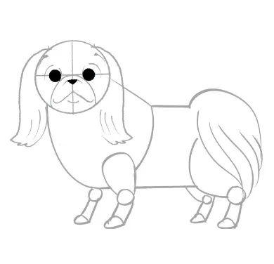ペキニーズのイラスト講座
2．足は太く全体的にモサモサに

肉付けの際、四肢と胴体は筋肉質でがっちりとさせつつ、両足は短めに描きこみます。
毛は首～胸にかけて尻尾はかなり長めの線で毛量多めに書き込む。