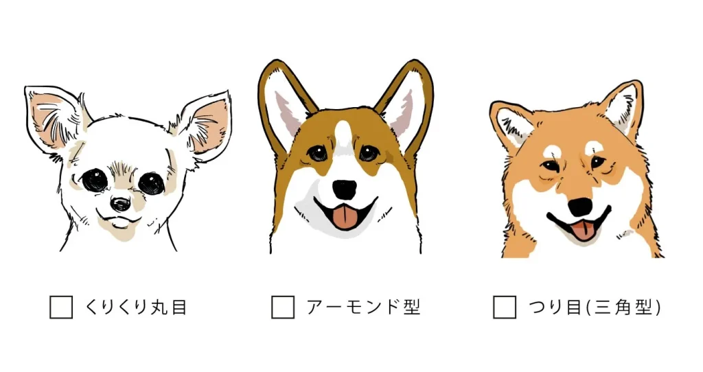 「うちの子」に似ないのはなぜ?プロが教える「観察チェックリスト」と「愛のデフォルメ」のコツ
目のカタチ
【作画のヒント】
「アーモンド型」なら目尻を下げて描く。