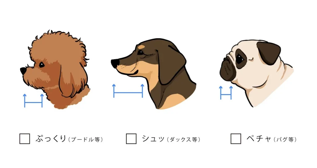 「うちの子」に似ないのはなぜ?プロが教える「観察チェックリスト」と「愛のデフォルメ」のコツ
お口(マズル)
【作画のヒント】
横顔の印象を一番決めるのはここ!