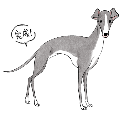 グレイハウンドのイラスト講座
１～３の下絵が完成いたしましたら色を付け完成です。