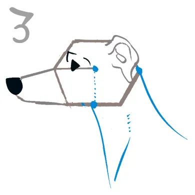 グレイハウンドのイラスト講座

３．喉元の美しいアーチ

頭から胸にかけて繋がる喉元のラインは、しなやかに。直線的にせず、少しカーブを描くことで、あの独特の華奢で強靭な首の美しさが表現できます。

※右画像３．の青線部分を参考