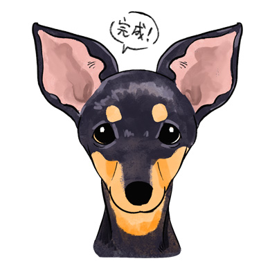 1~3の下絵が完成いたしましたら色を付け完成です。
色の塗り方は
① 目の上の「麻麻(まゆげ)マーク」
目の真上に、小さく丸いタン(茶色)を2つちょんと乗せます。これがミニピンの豊かな表情を作る最大のポイント!大きすぎるとおっとりした印象になってしまうので、「目の幅よりも少し小さめ」に丸く描くのが、賢そうでキリッとしたお顔に仕上げるコツです。
② マズル(口元)から「のど」への繋がり
鼻の頭やマズルの上面は黒いまま残し、口の横からあごの下、そして「のど元」にかけてを茶色で塗ります。横顔を描くときも、このあご下の茶色いラインがあることで、首のスマートさがより強調されて美しく見えます。